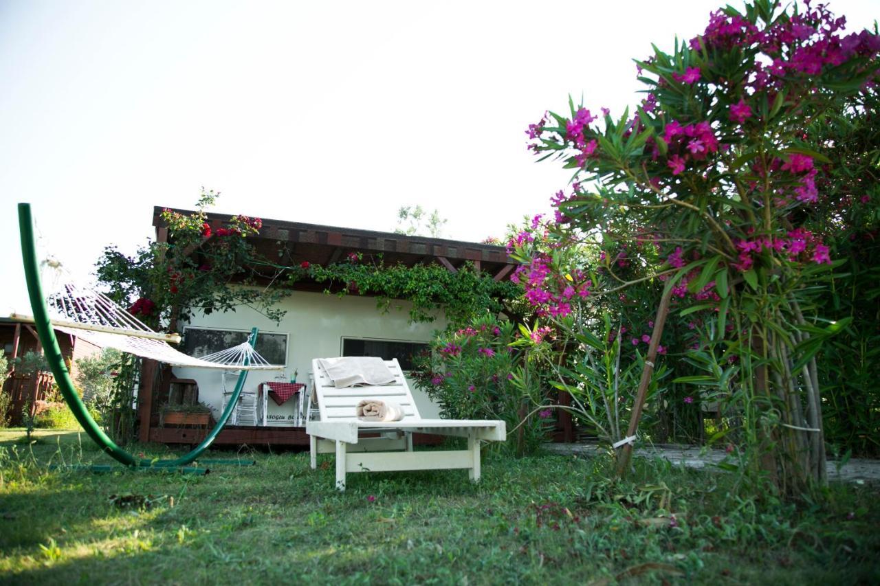 Hotel Cunda Fora Glamping Ayvalı Esterno foto