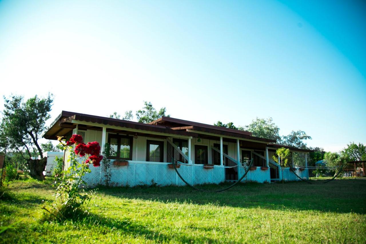 Hotel Cunda Fora Glamping Ayvalı Esterno foto