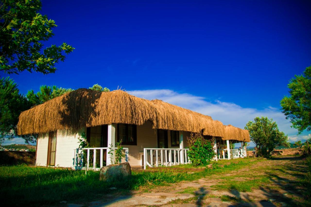 Hotel Cunda Fora Glamping Ayvalı Esterno foto